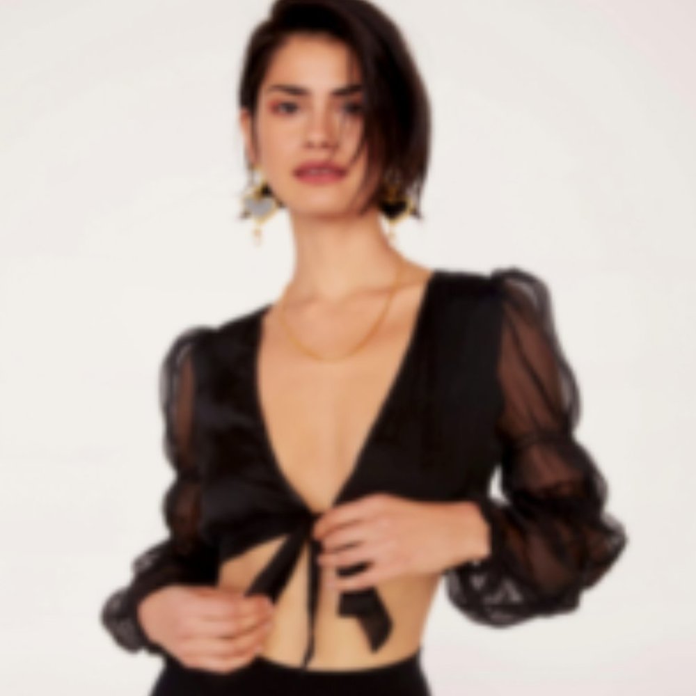 NWT Nasty Gal Gather Round Sheer Tie Top
